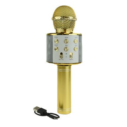TG67276 bezdrátový karaoke mikrofon pro zpěv s reproduktorem a Bluetooth