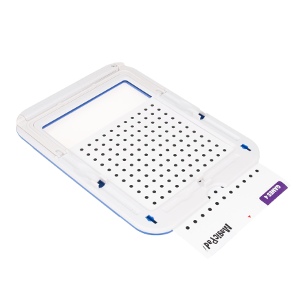 TG56631 grafický tablet pro kreslení, zmizík pro děti, vzdělávací šablony, fix