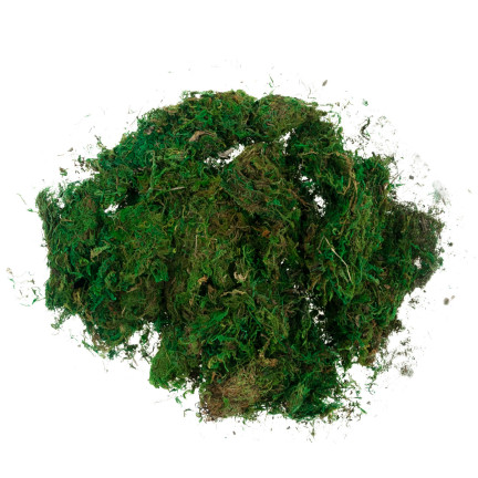 TG70316 umělý mech, 1 kg, sypký, dekorativní, do aranžmá, zelený, odolný