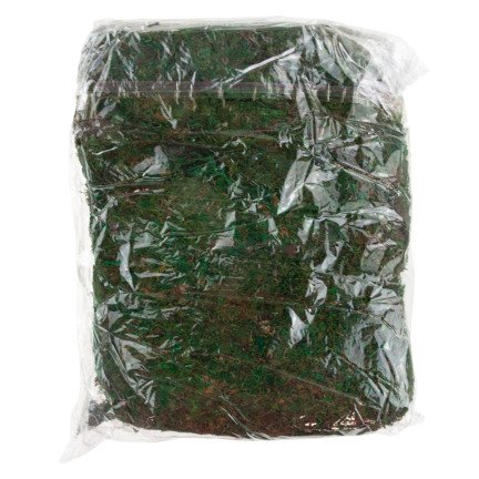 TG70316 umělý mech, 1 kg, sypký, dekorativní, do aranžmá, zelený, odolný