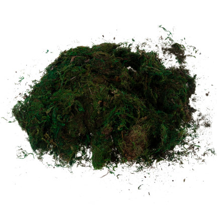 TG70316 umělý mech, 1 kg, sypký, dekorativní, do aranžmá, zelený, odolný