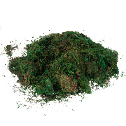TG70316 umělý mech, 1 kg, sypký, dekorativní, do aranžmá, zelený, odolný