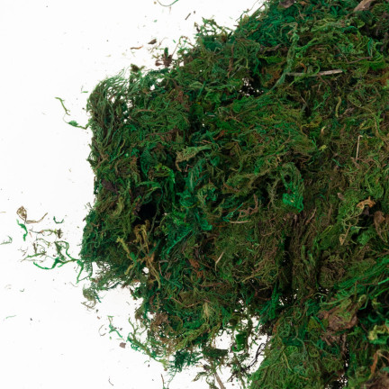 TG70316 umělý mech, 1 kg, sypký, dekorativní, do aranžmá, zelený, odolný