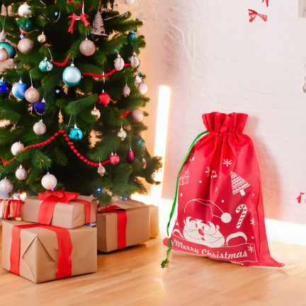 TG70466-2  vánoční taška na dárky od Santy, dárková taška, obal, červená, velká