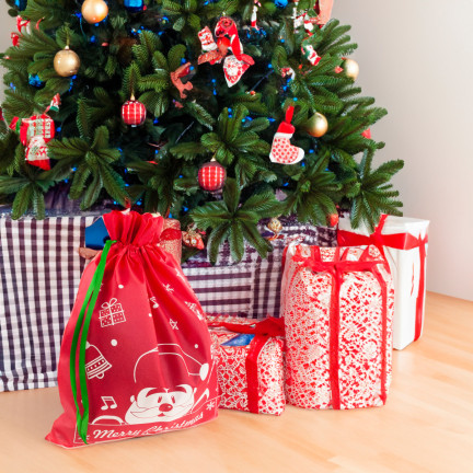 TG70466-2  vánoční taška na dárky od Santy, dárková taška, obal, červená, velká