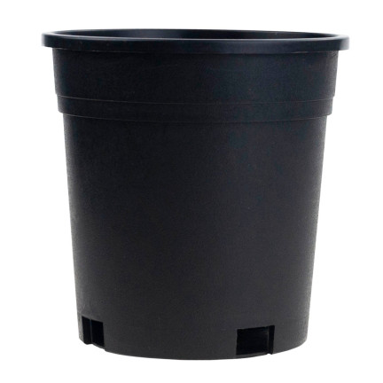 TG72940 vysoký pěstební květináč P14, 1,5 l, kulatý, na sazenice, s okrajem, 14 × 14 cm