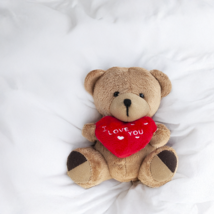TG75260  hnědý medvídek – Valentýn, Mikuláš, srdce a „I love you“ – plyšák