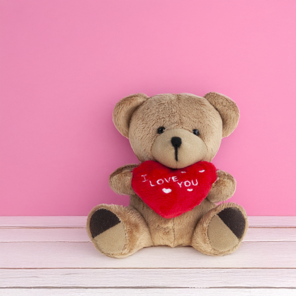 TG75260  hnědý medvídek – Valentýn, Mikuláš, srdce a „I love you“ – plyšák