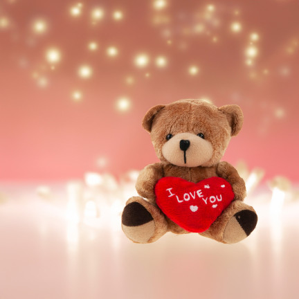TG75260  hnědý medvídek – Valentýn, Mikuláš, srdce a „I love you“ – plyšák