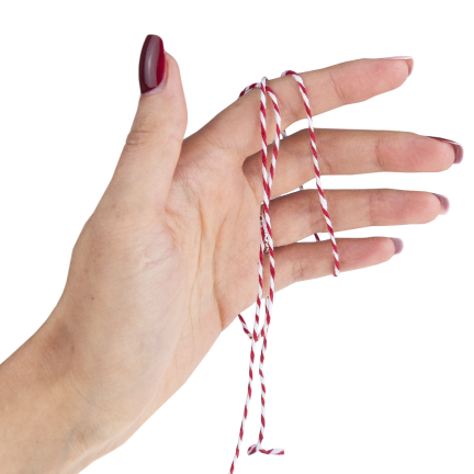 TG80079 ozdobná šňůrka na balení dárků, stužka, mašle