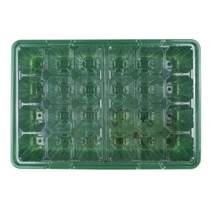 TG81374 MINI SKLENÍK KLÍČENÍ ŠKOLKA KLÍČENÍ SAZENIC VĚTRÁNÍ VÝSEV