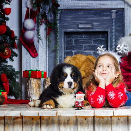 TG84250 – natahovací hračka – chodící Santa Claus
