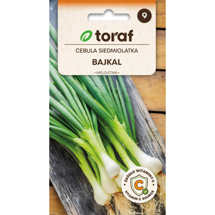 W1022 sedmiletá cibule bajkalská, chutná a aromatická pažitka (Allium fistulosum L.), 3 g