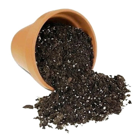 BIO26 EARTH BIGOS 8L lehký substrát pro pokojové rostliny v květináčích