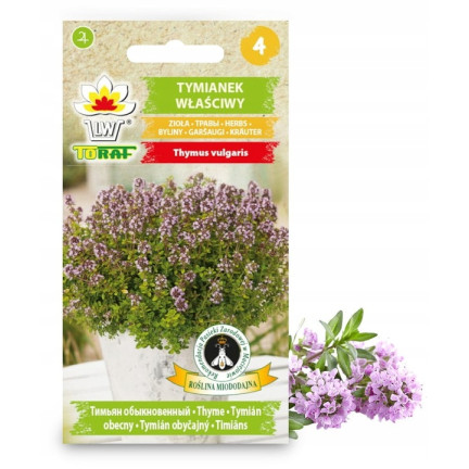 Z3035 THYMÁN SPRÁVNÁ SEMENA BYLINA KOŘENÍ AROMATICKÉ 0,3G