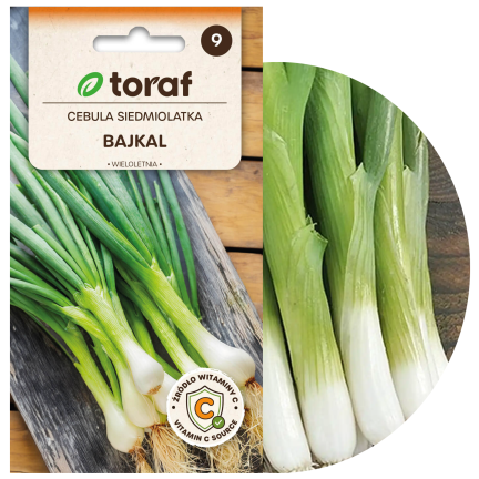 W1022 sedmiletá cibule bajkalská, chutná a aromatická pažitka (Allium fistulosum L.), 3 g
