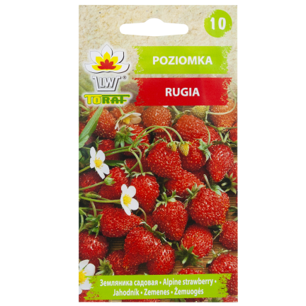 W1181 SEMÍNKA JAHOD RUGIA PLODNÉ ŠŤAVNATÉ PLODY NEJSLADŠÍ 0,2G