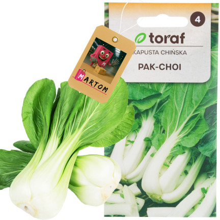 W3779 ČÍNSKÉ ZELÍ PAK CHOI 1G SEMENA ČÍNSKÉHO ZELÍ TORAF