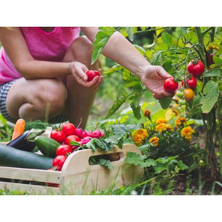 Univerzální organické hnojivo, BIO, přírodní, granulované, Biovita 3 kg