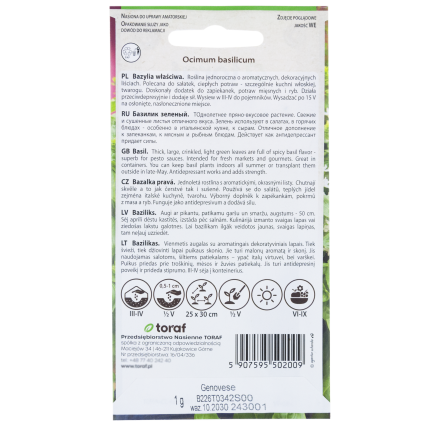 Z3001 BASALKA SPRÁVNÁ BASALKA SEMÍNKA BYLINY KOŘENÍ ZELENÉ AROMATICKÉ 1G