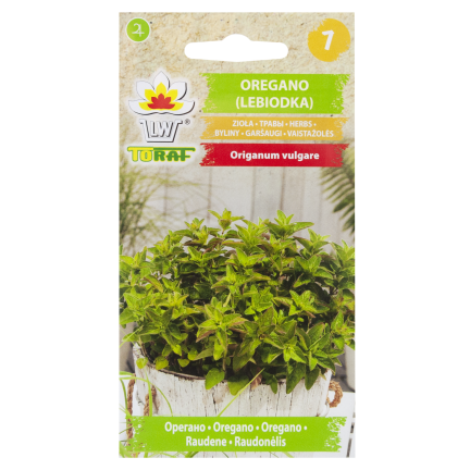Z3026 OREGANO OREGANO TRVALKA SEMENA AROMATICKÁ TRVALKA DO KAŽDÉ KUCHYNĚ 0,5G