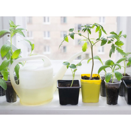 SUM28 sumin multiroots – přípravek na zakořenění, urychluje zakořenění řízků a cibulek okrasných rostlin, 100 ml