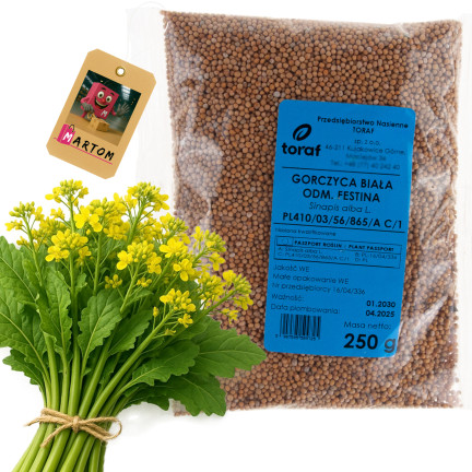 Z9725 bílá hořčice jako mezipěstování, Festina, 250 g